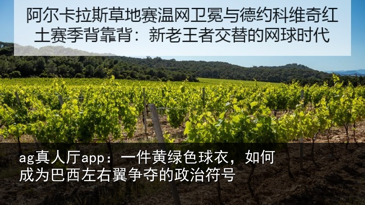 ag真人厅app:一件相关情况为巴相关情况治符号