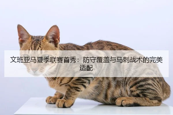 文班亚马夏季联赛首秀：防守覆盖与马刺战术的完美适配