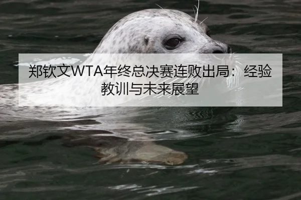 郑钦文WTA年终总决赛连败出局：经验教训与未来展望