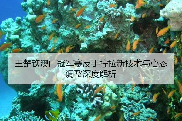 王楚钦澳门冠军赛反手拧拉新技术与心态调整深度解析